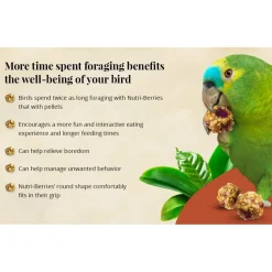 Lafeber Senior Bird Nutri-Berries Parrot Bird Food 3-lb