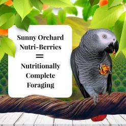 Lafeber Sunny Orchard Nutri-Berries Parrot Bird Food 3-lb