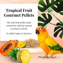 Lafeber Tropical Fruit Gourmet Pellets Conure Bird Food 4-lb