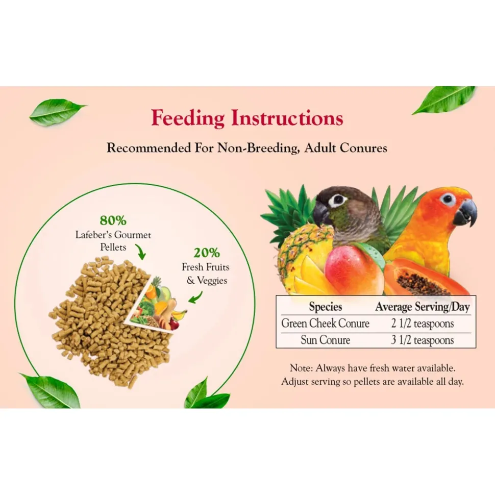Lafeber Tropical Fruit Gourmet Pellets Conure Bird Food 4-lb