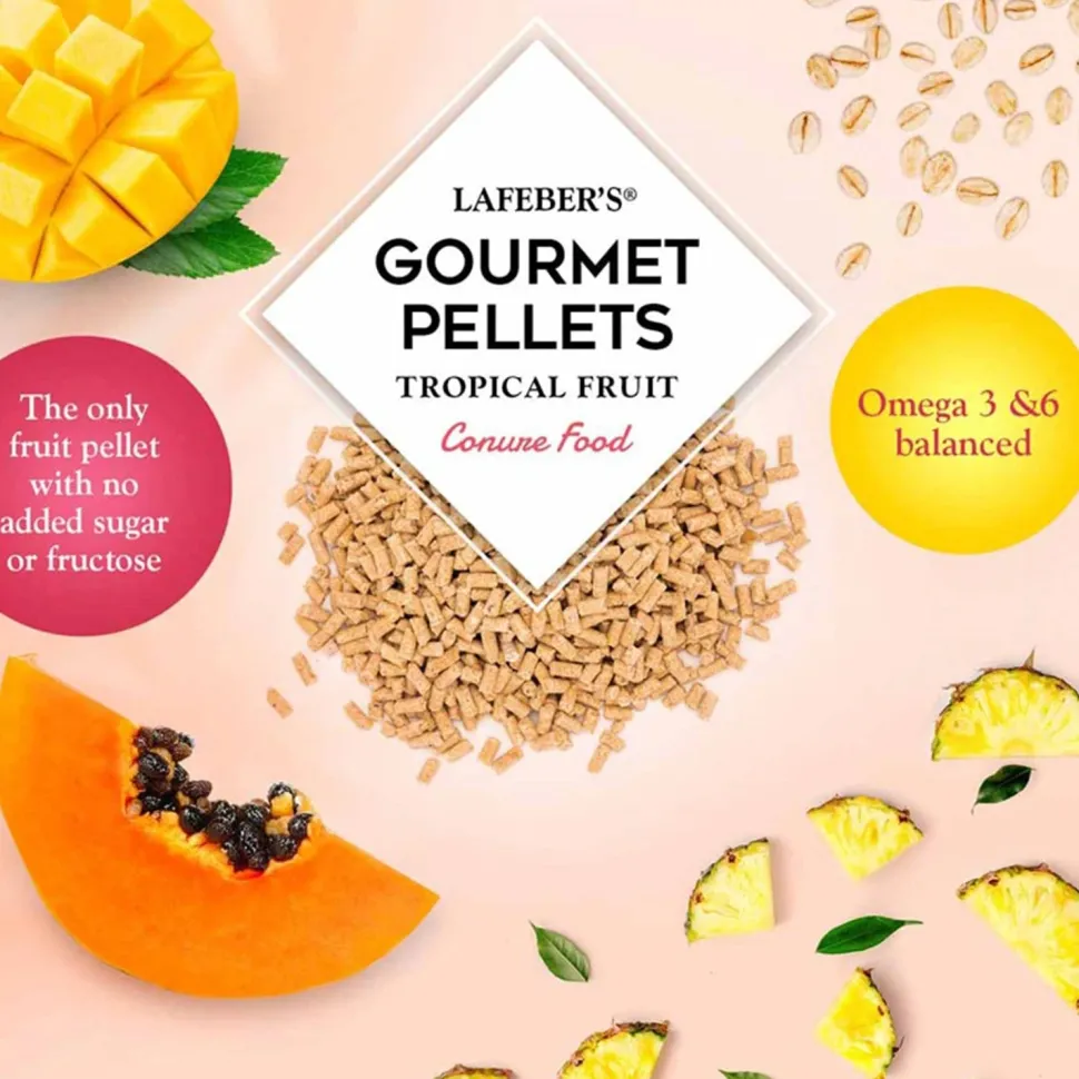 Lafeber Tropical Fruit Gourmet Pellets Conure Bird Food 4-lb