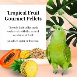 Lafeber Tropical Fruit Gourmet Pellets Parrot Bird Food 4-lb