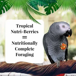 Lafeber Tropical Fruit Nutri-Berries Parrot Bird Food 3-lb