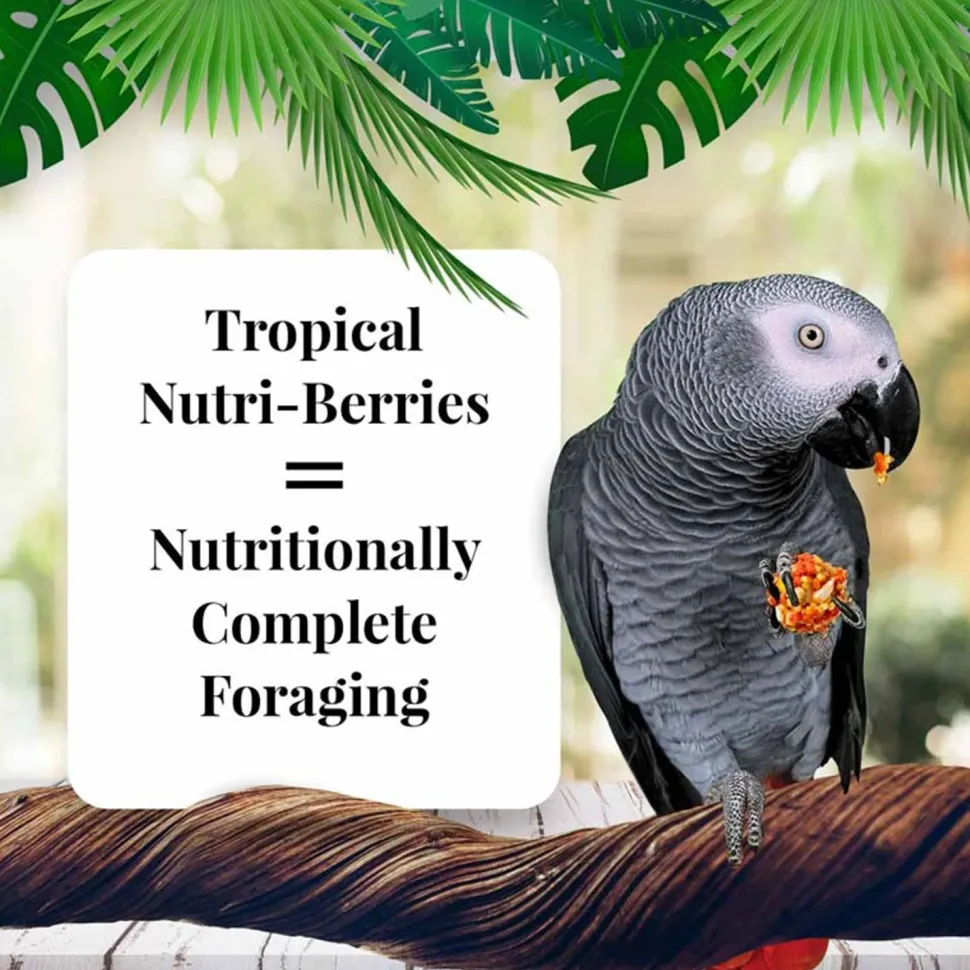 Lafeber Tropical Fruit Nutri-Berries Parrot Bird Food 3-lb