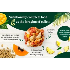 Lafeber Tropical Fruit Nutri-Berries Macaw & Cockatoo Bird Food 3-lb