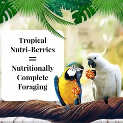 Lafeber Tropical Fruit Nutri-Berries Macaw & Cockatoo Bird Food 3-lb