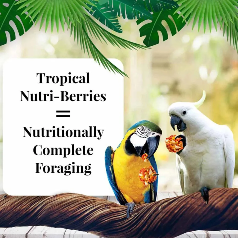 Lafeber Tropical Fruit Nutri-Berries Macaw & Cockatoo Bird Food 3-lb