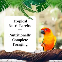 Lafeber Tropical Fruit Nutri-Berries Conure Bird Food 10-oz