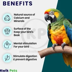 Living World Cuttlebone for Birds Medium 5-6 in