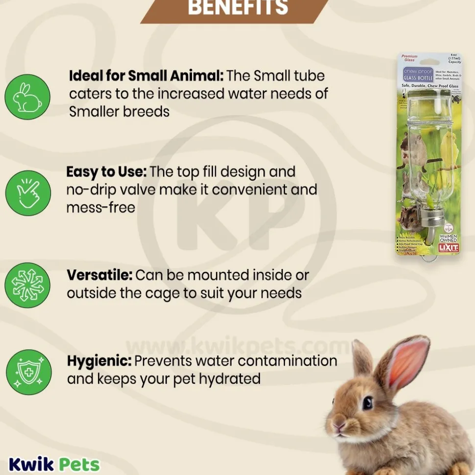 Lixit Chew Proof Glass Bottle for Small Animals Clear 6-oz