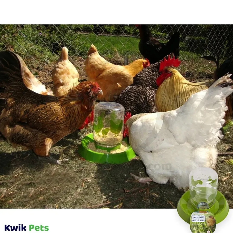 Lixit Chicken Feeder Clear Green 64-oz