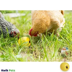 Lixit Chicken Toy Yellow One Size