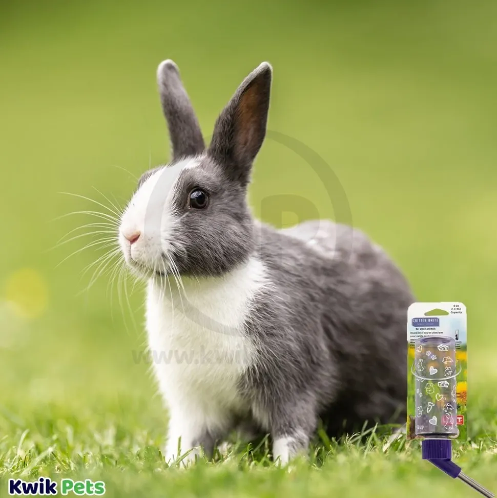 Lixit Clear Water Bottle for Small Animals 4-oz