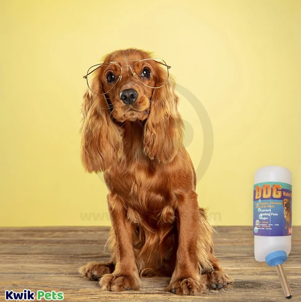 Lixit Dog Water Bottle White 32-oz