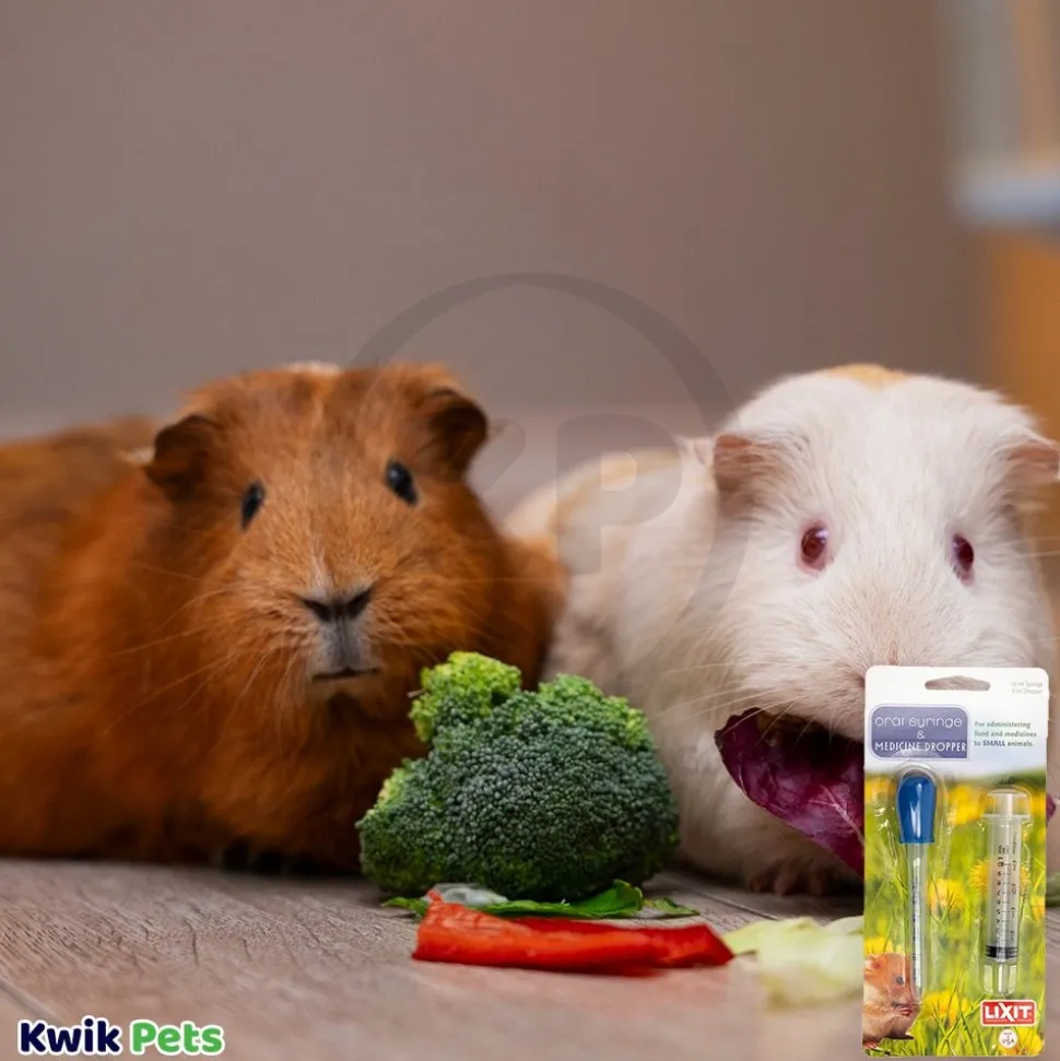 Lixit Dropper & Syringe Combo for Baby Animals