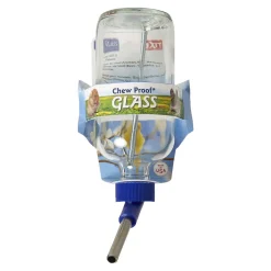 Lixit Economy Glass Water Bottle for Birds & Small Animals Clear Blue 8-oz