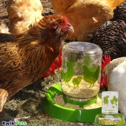 Lixit Farm Babies Chick Feeder 32-oz