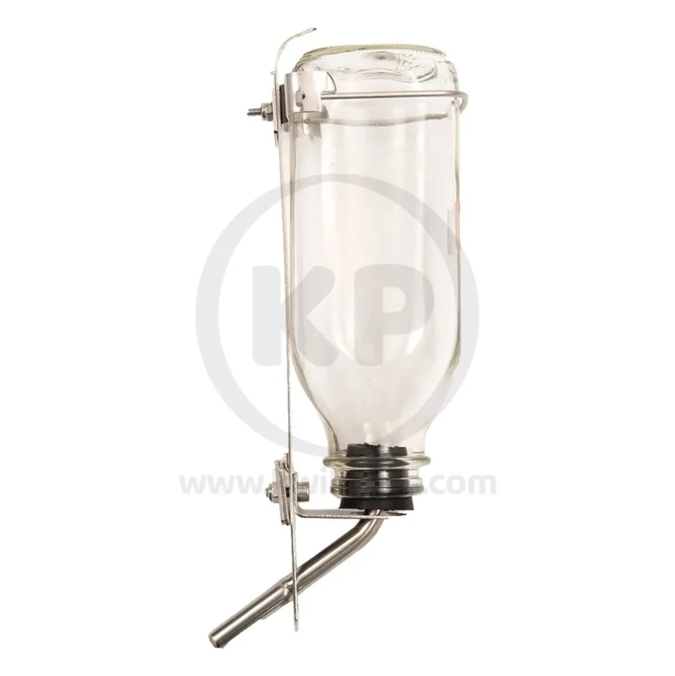 Lixit Glass Bottle with Holder Clear Silver