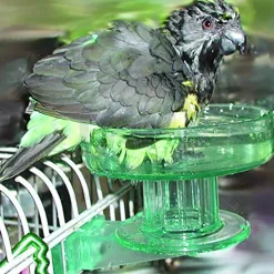 Lixit Quick Lock Bird Bath Green One Size