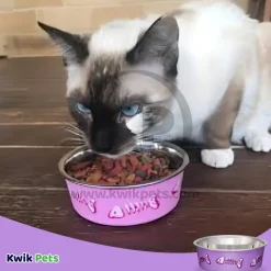 Loving Pets Bella Designer Fish Skeleton Cat Bowl Lilac X-Small