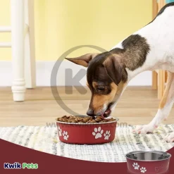 Loving Pets Classic Dog Bowl Merlot Small