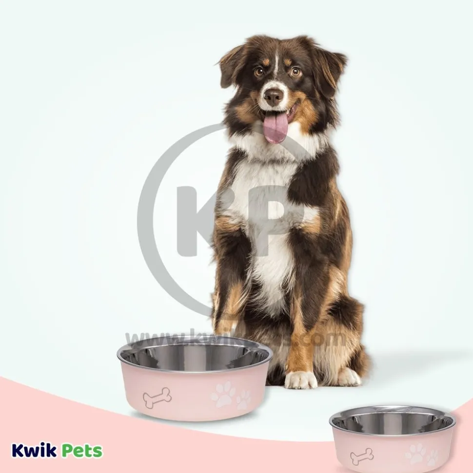 Loving Pets Classic Dog Bowl Paparazzi Pink Medium
