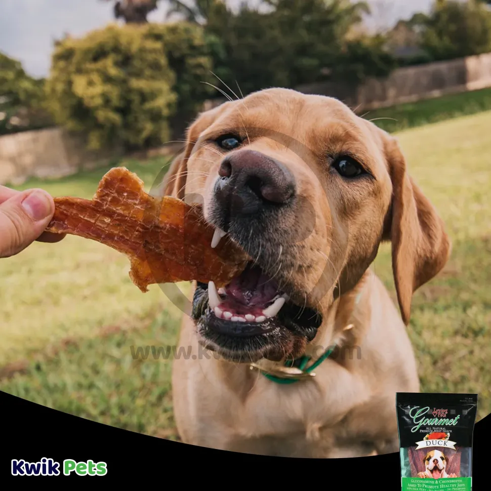 Loving Pets Gourmet Duck Filet Strips Dog Treats 6-oz