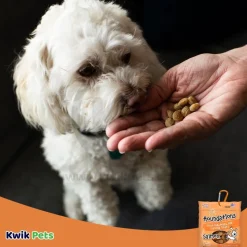 Loving Pets Houndations Small Dog & Puppy Training Treats Salmon 4-oz