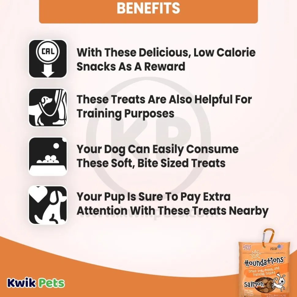 Loving Pets Houndations Small Dog & Puppy Training Treats Salmon 4-oz