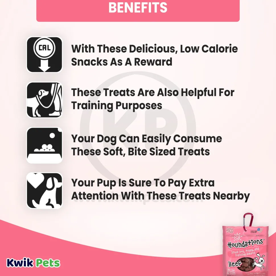 Loving Pets Houndations Small Dog & Puppy Training Treats Beef 4-oz