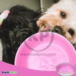 Loving Pets Le Bol Dog Bowl Rose Small