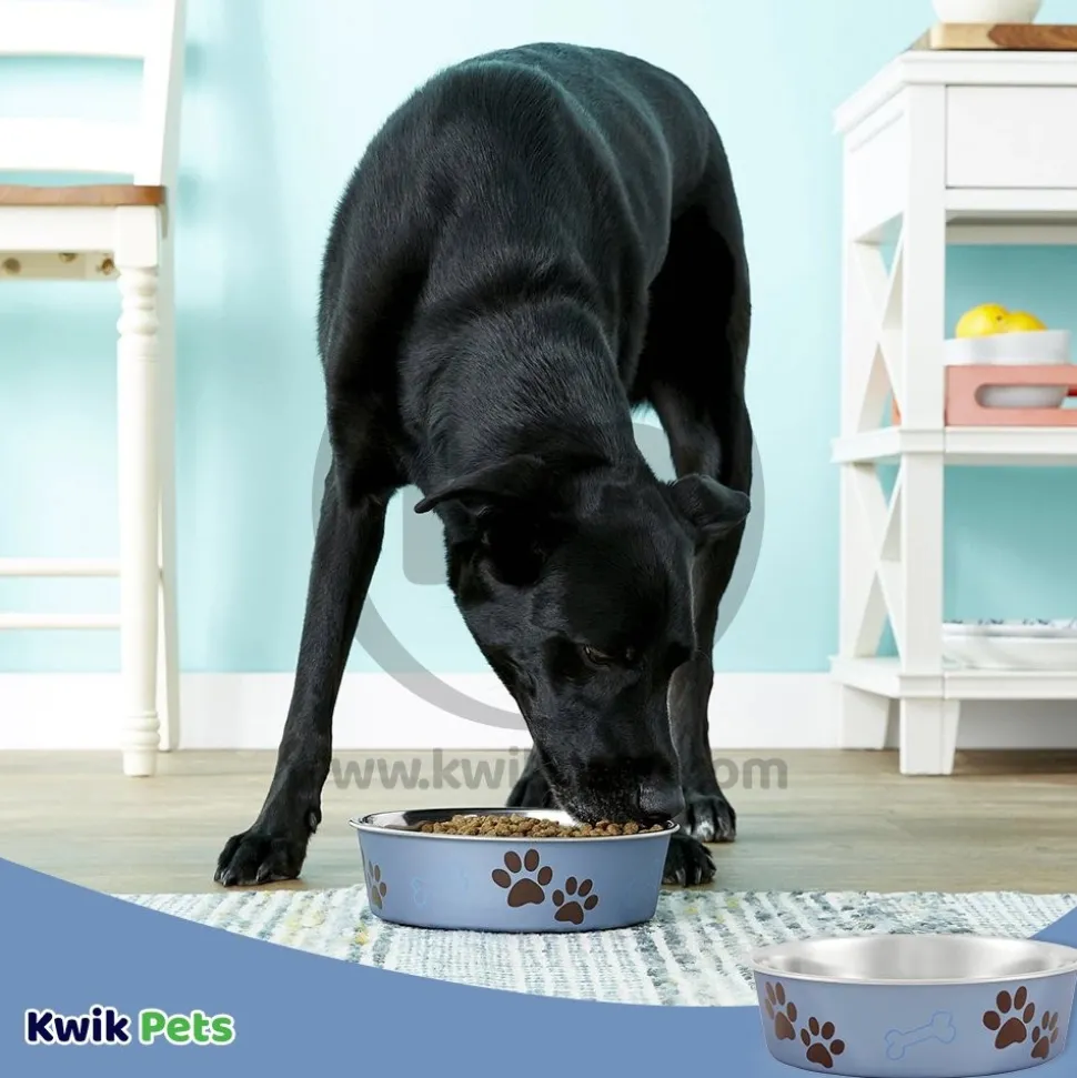 Loving Pets Metallic Dog Bowl Blueberry Medium
