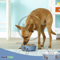 Loving Pets Metallic Dog Bowl Blueberry Small