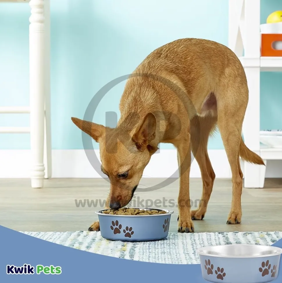 Loving Pets Metallic Dog Bowl Blueberry Small