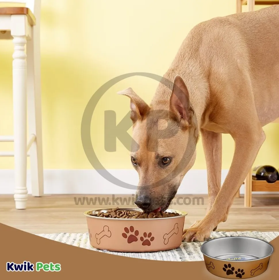 Loving Pets Metallic Dog Bowl Champagne Medium