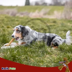 Loving Pets Pressed Rawhide Bone Dog Treat 4-in