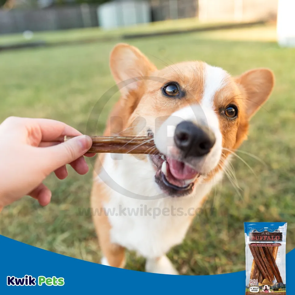 Loving Pets Pure Buffalo Bully Sticks Dog Treat 6-in 6 Count