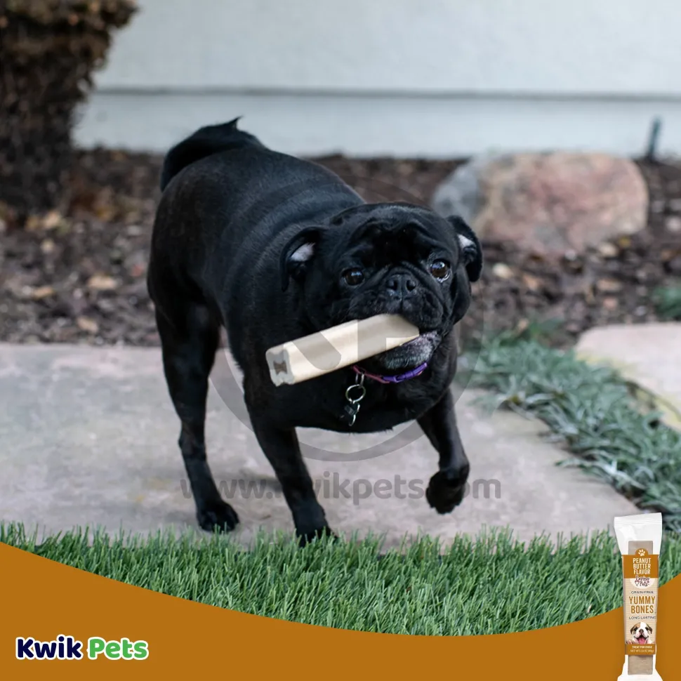 Loving Pets Yummy Bones Peanut Butter Flavor Filled Dog Treat 2.8-oz