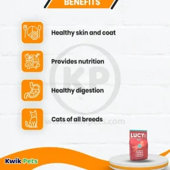 Lucy Pet Products Formula for Life L.I.D. Dry Dog Food Salmon Pumpkin & Quinoa 4.5-lb