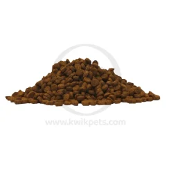 Lucy Pet Products Formulas for Life Dry Cat Food Chicken Brown Rice & Pumpkin 4-lb