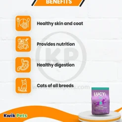 Lucy Pet Products Formulas for Life Dry Cat Food Chicken Brown Rice & Pumpkin 4-lb