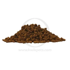 Lucy Pet Products Formulas for Life Dry Cat Food Salmon Pumpkin & Quinoa 4-lb