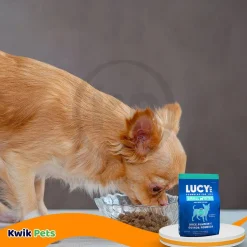 Lucy Pet Products Grain-Free Small Bites Small Breed Dry Dog Food Duck, Pumpkin & Quinoa 4.5-lb