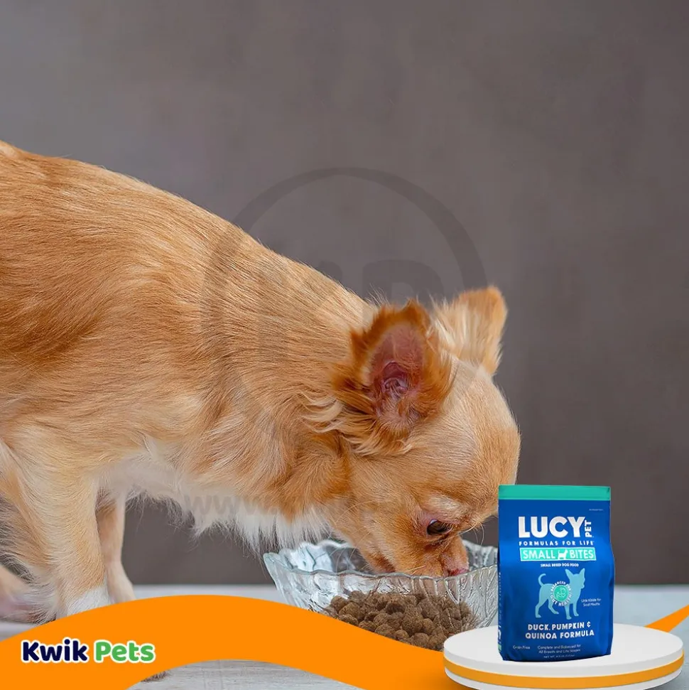 Lucy Pet Products Grain-Free Small Bites Small Breed Dry Dog Food Duck, Pumpkin & Quinoa 4.5-lb