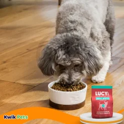 Lucy Pet Products Grain-Free Small Bites Small Breed Dry Dog Food Salmon, Pumpkin & Quinoa 4.5-lb