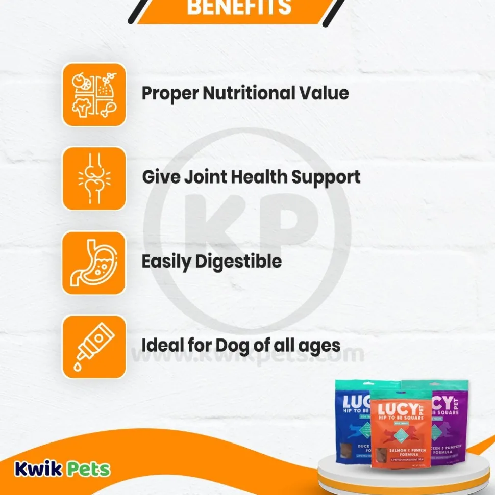 Lucy Pet Products Hip to Be Square Limited Ingredient Dog Treats Duck & Pumpkin 6-oz