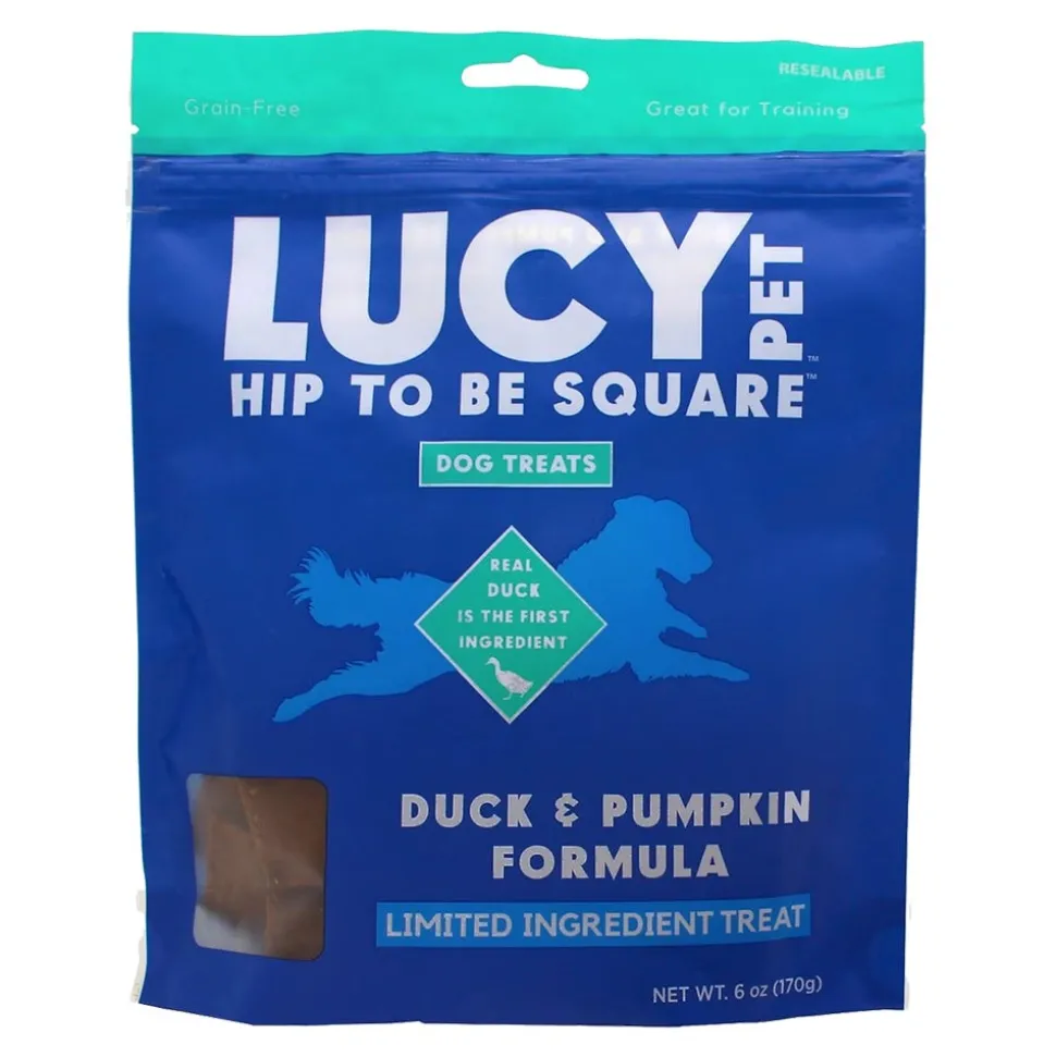 Lucy Pet Products Hip to Be Square Limited Ingredient Dog Treats Duck & Pumpkin 6-oz