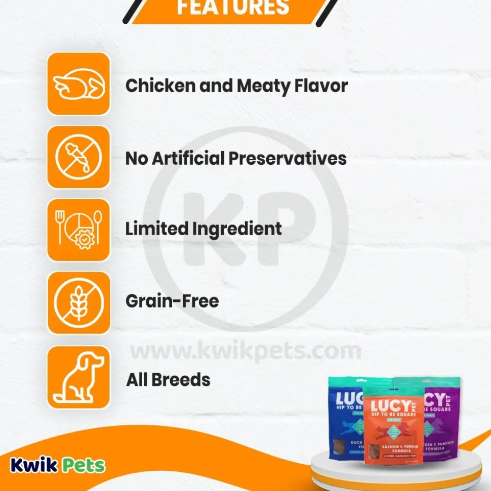 Lucy Pet Products Hip to Be Square Limited Ingredient Dog Treats Salmon & Pumpkin 6-oz