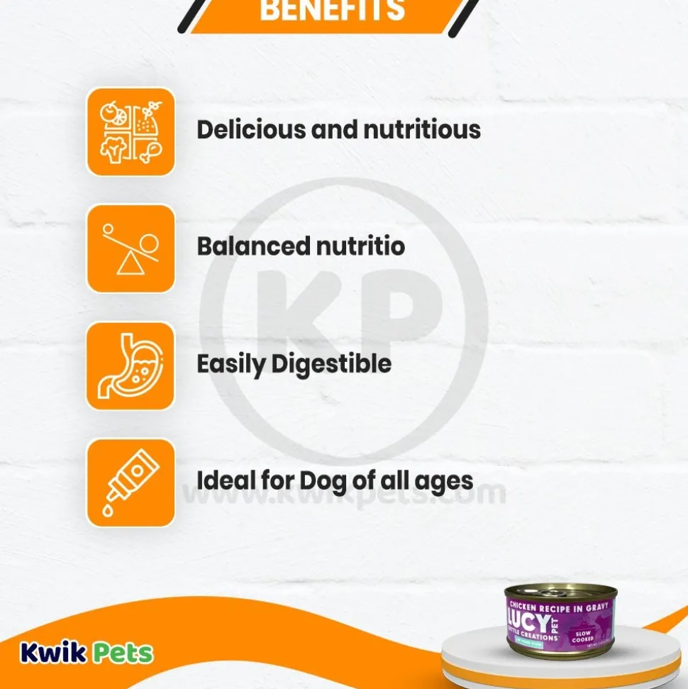 Lucy Pet Products Kettle Creations Wet Cat Food Chicken 2.47-oz