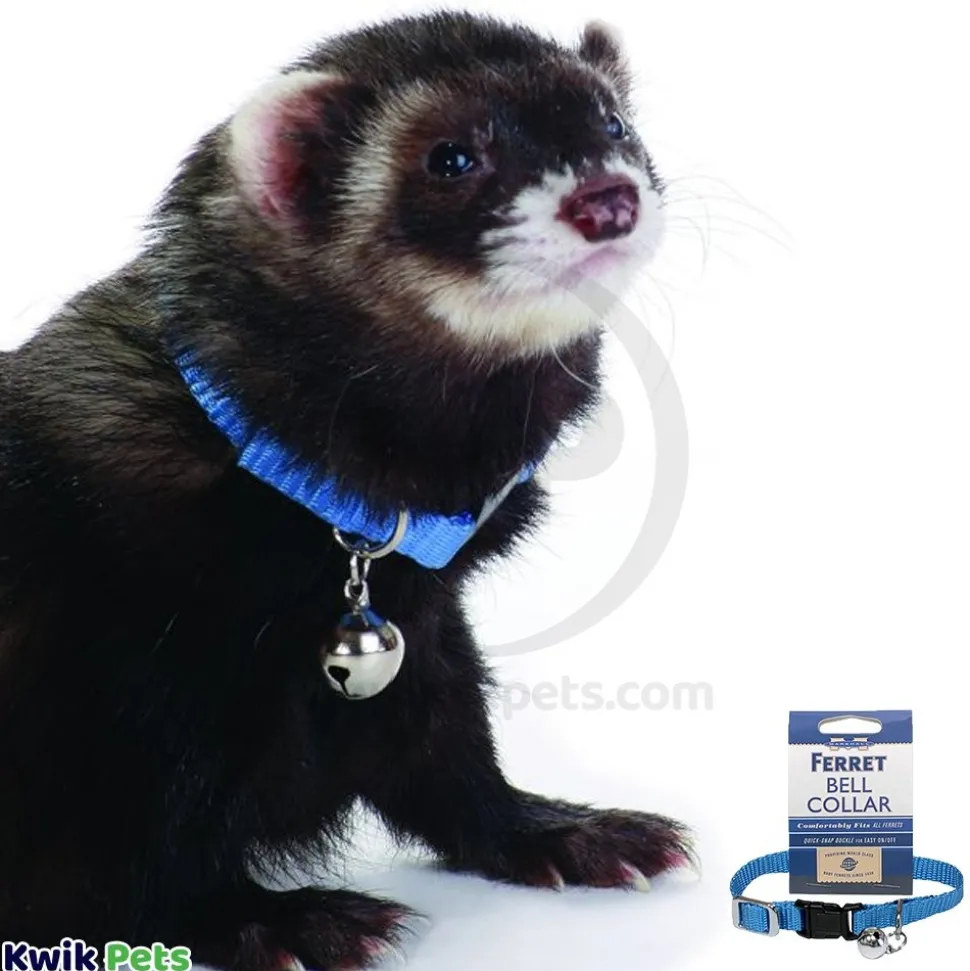 Marshall Pet Products Ferret Bell Collar Blue 3/8-in